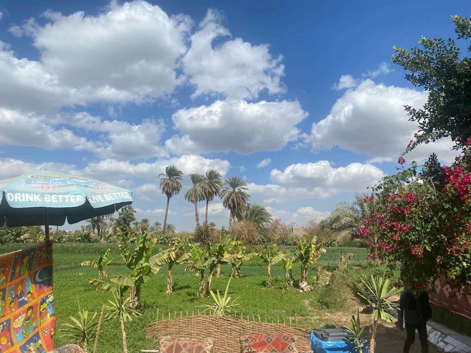 Peace Garden Hostel & Camp Luxor Ngoại thất bức ảnh