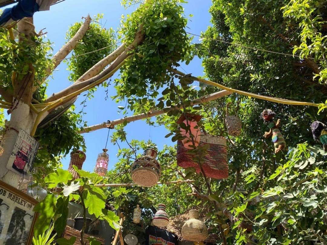 Peace Garden Hostel & Camp Luxor Ngoại thất bức ảnh