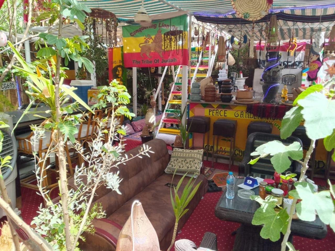 Peace Garden Hostel & Camp Luxor Ngoại thất bức ảnh