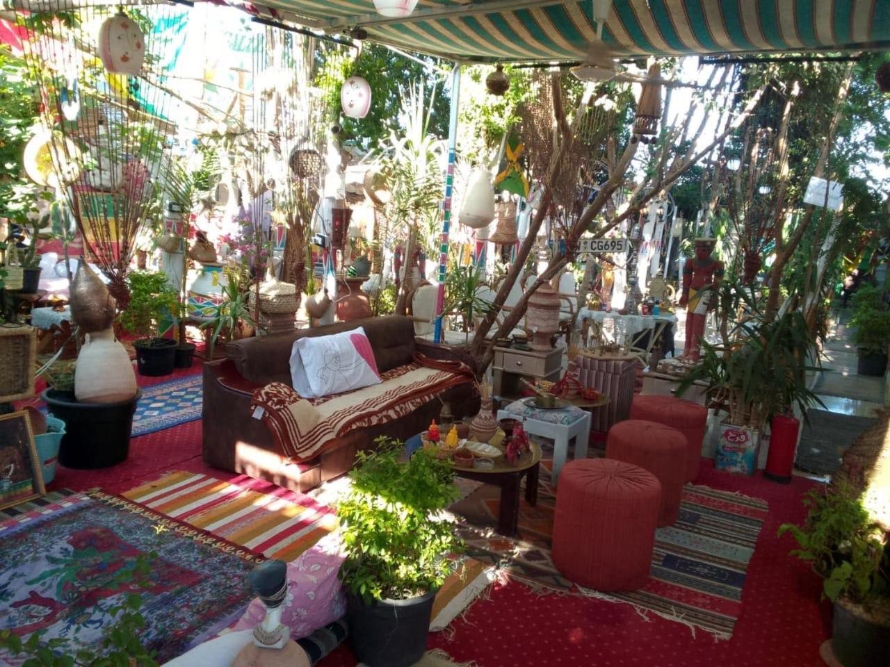 Peace Garden Hostel & Camp Luxor Ngoại thất bức ảnh