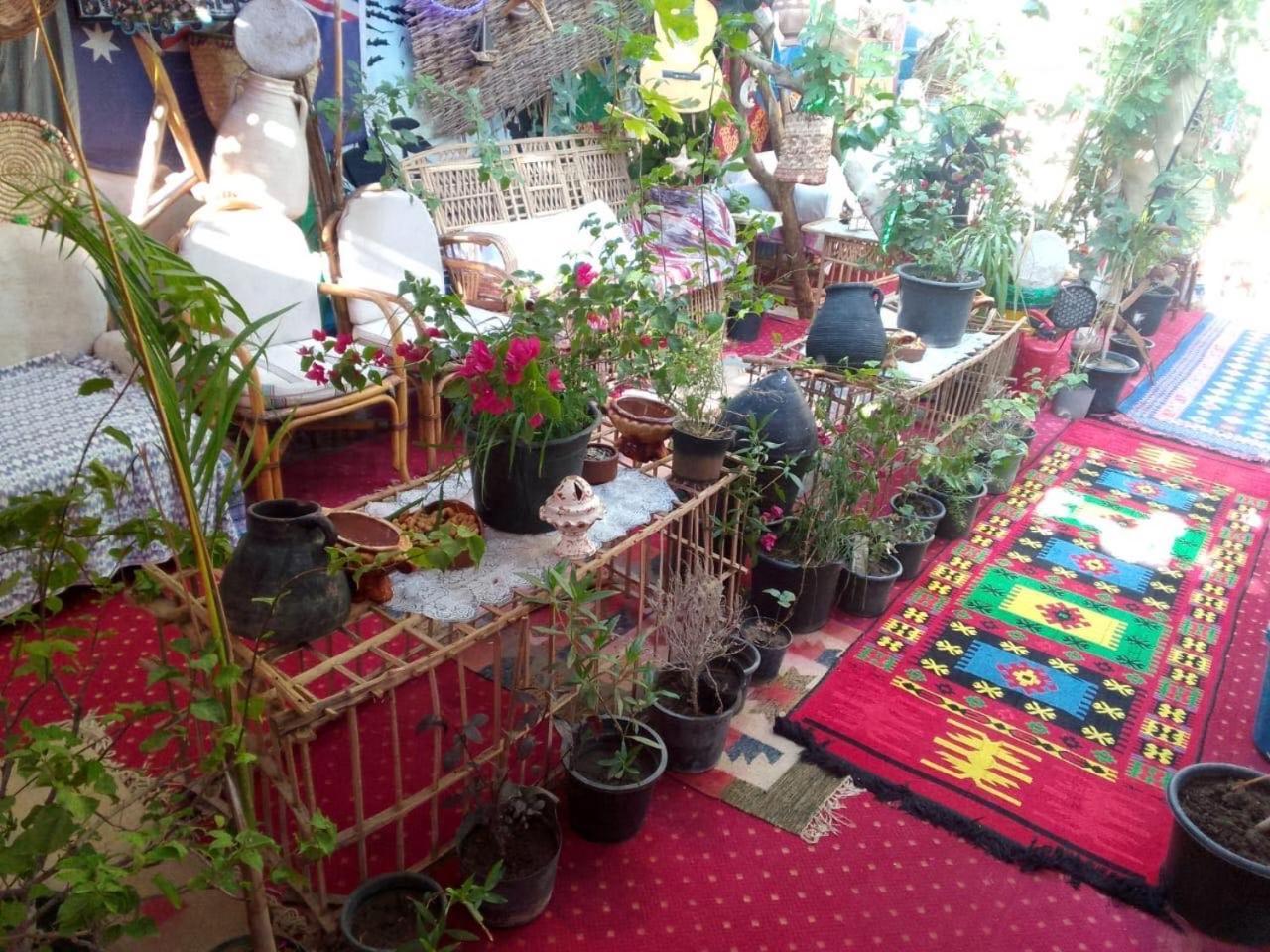 Peace Garden Hostel & Camp Luxor Ngoại thất bức ảnh